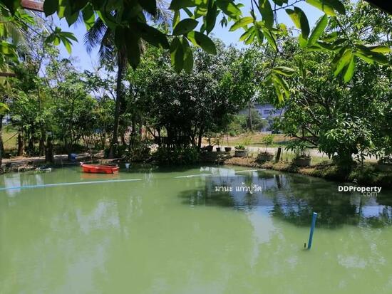 บ้านแฝด!!!ชั้นเดียว ใหม่เอี่ยม ให้เช่าบรรยากาศในสวน ร่มรื่น (บางปลารีสอร์ท) พร้อมเฟอร์นิเจอร์50ตรว. อ.บางเลน จ.นครปฐม